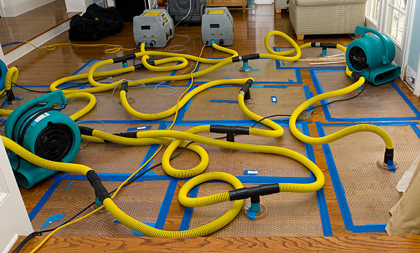 Professional Basement Flood Cleanup technician working in Unity, ME